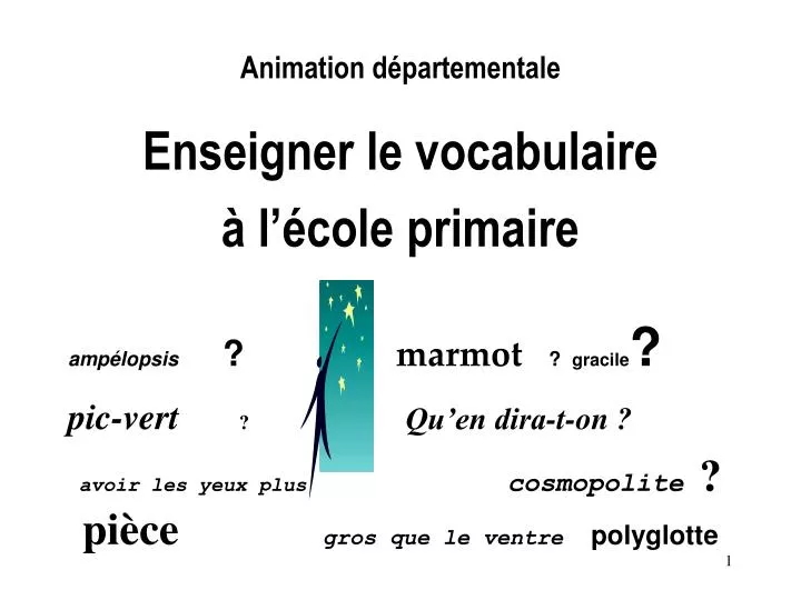 animation d partementale