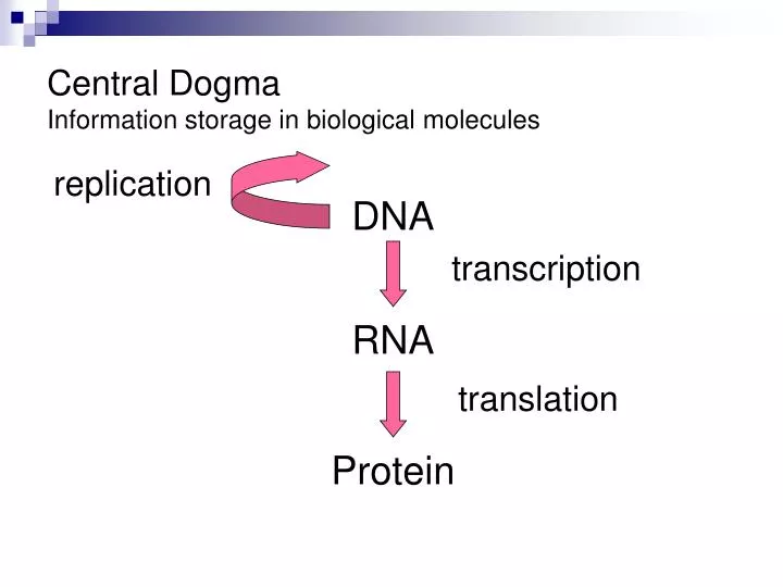 central dogma information storage in biological molecules