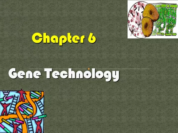 chapter 6 gene technology
