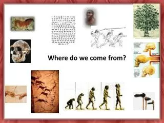Where do we come from?