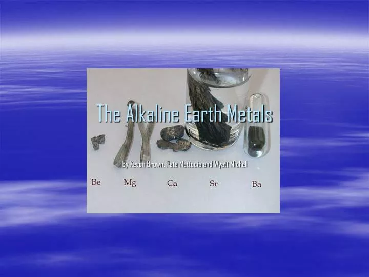 the alkaline earth metals