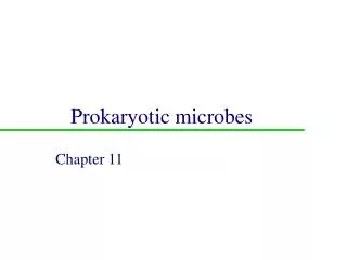 Prokaryotic microbes