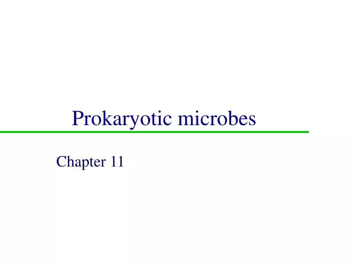 prokaryotic microbes