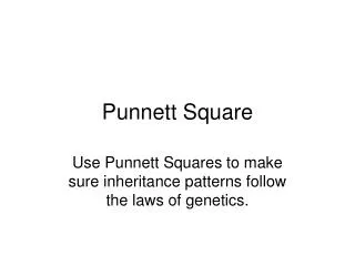 Punnett Square