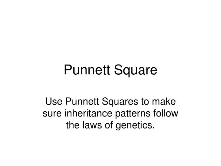 punnett square