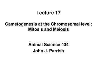 Lecture 17 Gametogenesis at the Chromosomal level: Mitosis and Meiosis
