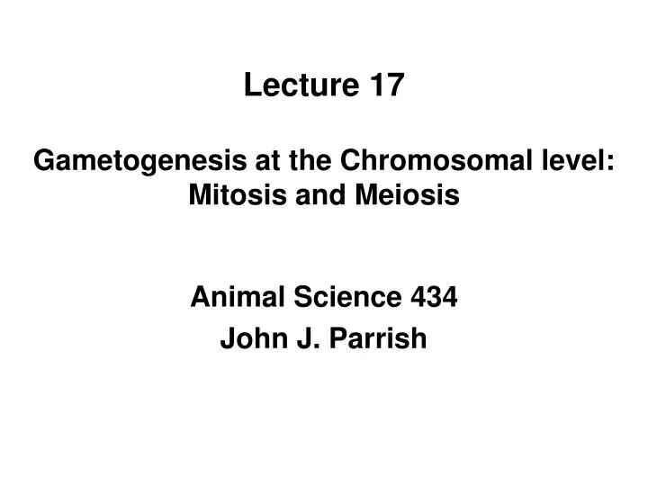 lecture 17 gametogenesis at the chromosomal level mitosis and meiosis