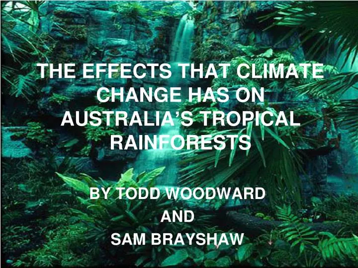 the effects that climate change has on australia s tropical rainforests