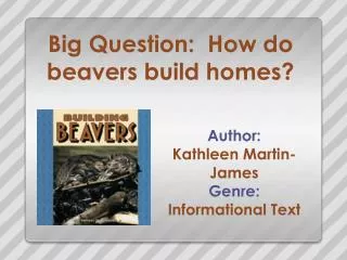 Big Question: How do beavers build homes?