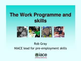 The Work Programme and skills
