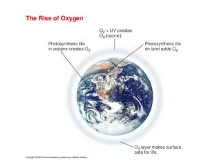 The Rise of Oxygen