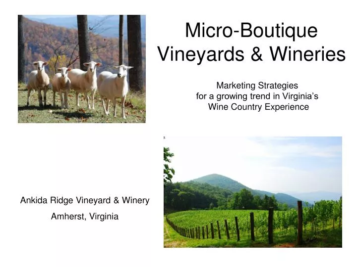 micro boutique vineyards wineries