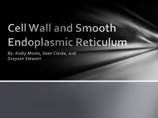 Cell Wall and Smooth Endoplasmic Reticulum