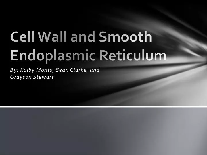 cell wall and smooth endoplasmic reticulum