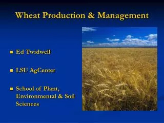 Wheat Production &amp; Management