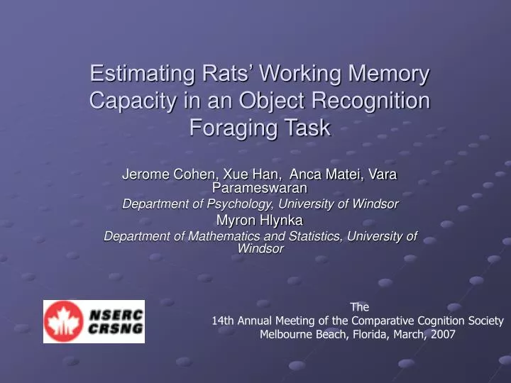 estimating rats working memory capacity in an object recognition foraging task