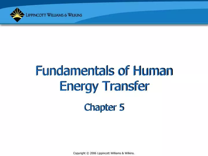 fundamentals of human energy transfer