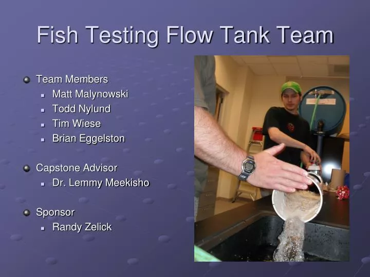 fish testing flow tank team