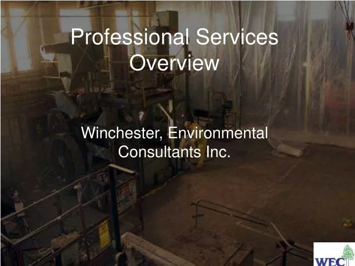 professional services overview