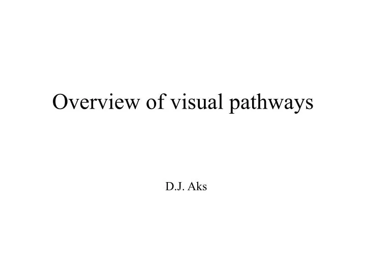 overview of visual pathways