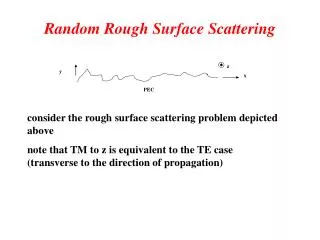 Random Rough Surface Scattering