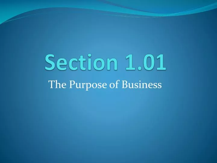section 1 01