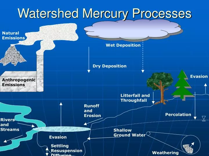 watershed mercury processes