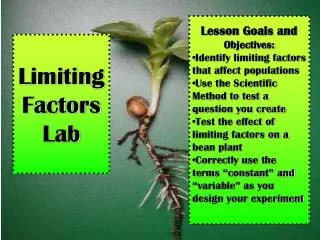 Limiting Factors Lab