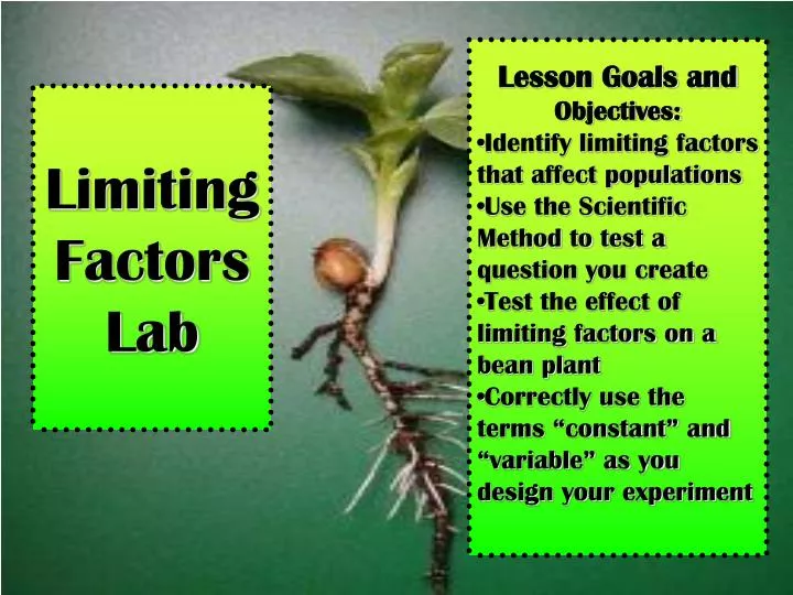 limiting factors lab