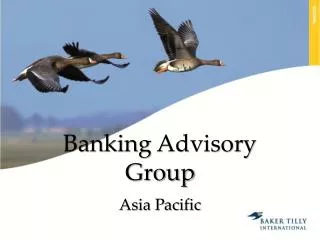 Banking Advisory Group