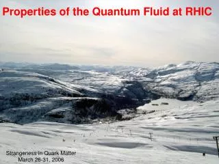 Properties of the Quantum Fluid at RHIC