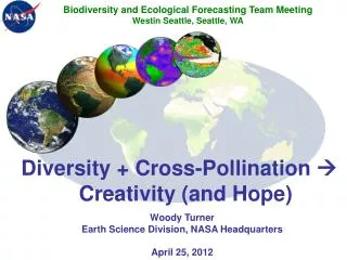 Diversity + Cross-Pollination ? Creativity (and Hope)
