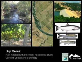 Dry Creek Fish Habitat Enhancement Feasibility Study Current Conditions Summary