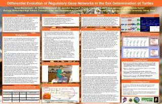 Differential Evolution of Regulatory Gene Networks in the Sex Determination of Turtles