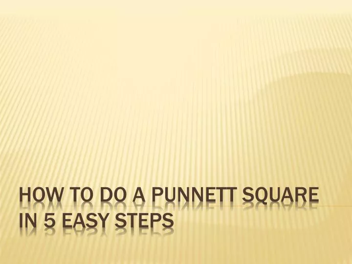 how to do a punnett square in 5 easy steps
