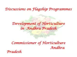 Discussions on Flagship Programmes Development of Horticulture in Andhra Pradesh