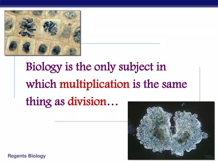 biology is the only subject in which multiplication is the same thing as division