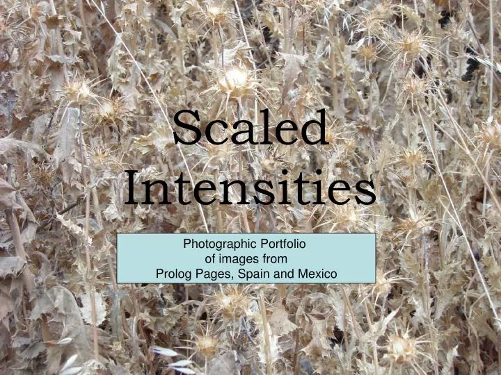 scaled intensities