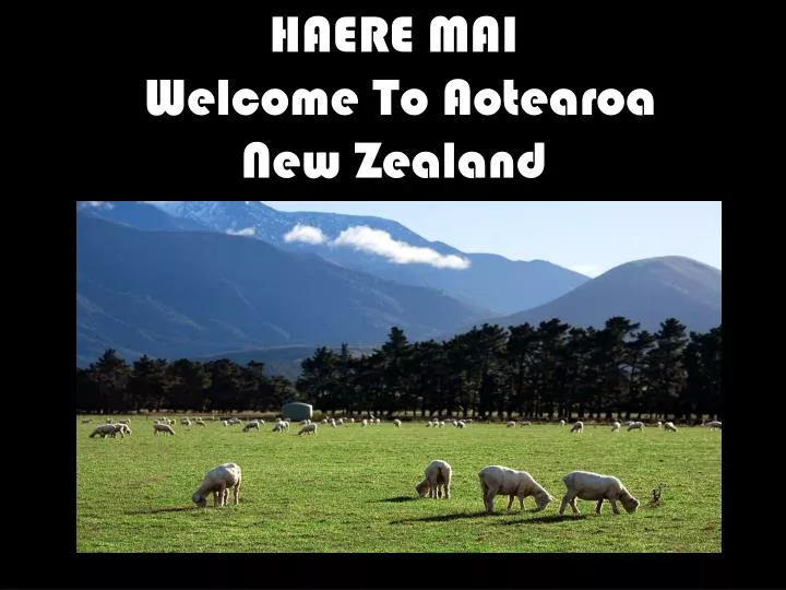 haere mai welcome to aotearoa new zealand
