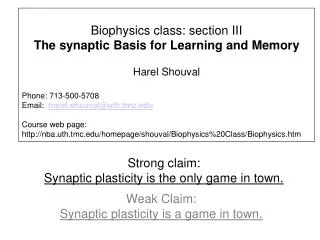 Strong claim: Synaptic plasticity is the only game in town.