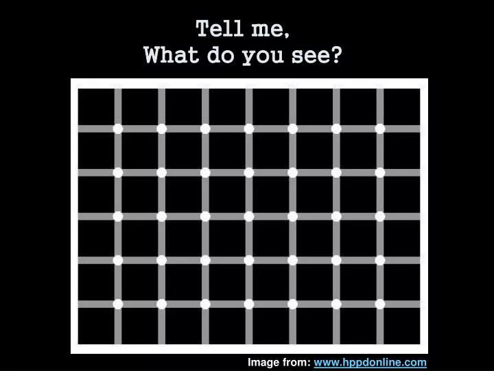 tell me what do you see