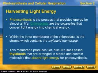 harvesting light energy