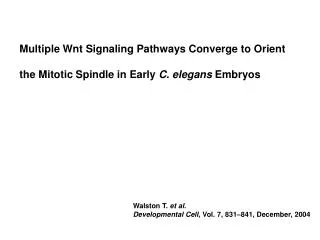 Multiple Wnt Signaling Pathways Converge to Orient