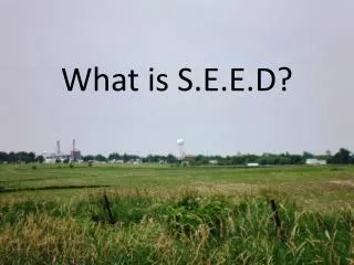 What is S.E.E.D?