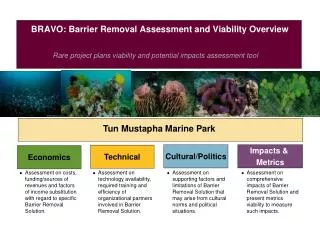 BRAVO: Barrier Removal Assessment and Viability Overview