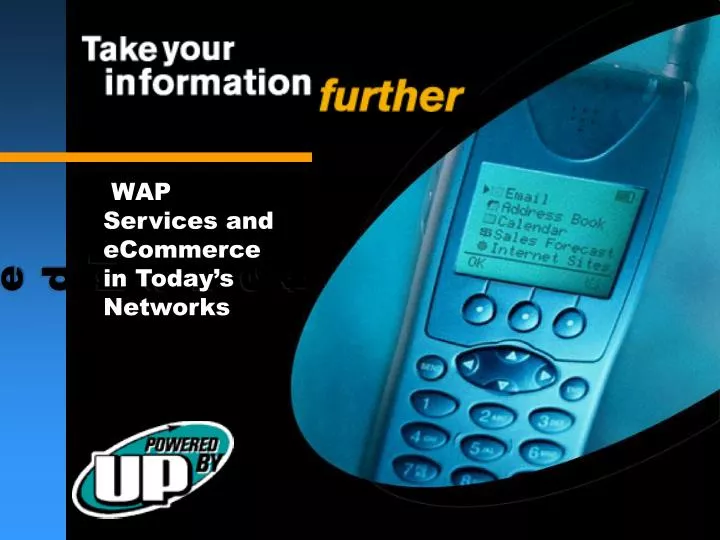 wap services and ecommerce in today s networks