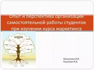 Опыт и перспектива организации самостоятельной работы студентов при изучении курса маркетинга