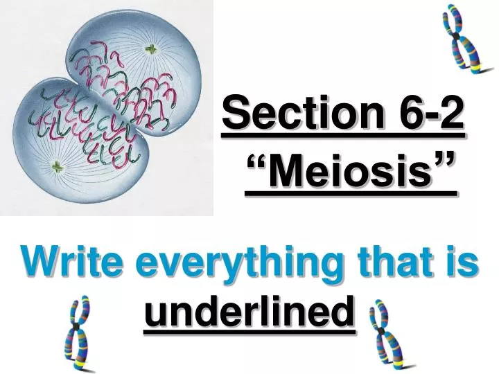 section 6 2 meiosis