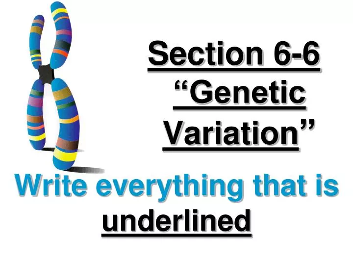 section 6 6 genetic variation