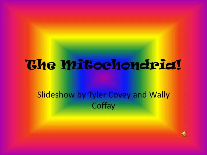 the mitochondria